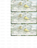 Birds - Exclusive 1:1 Stock (Yellow)